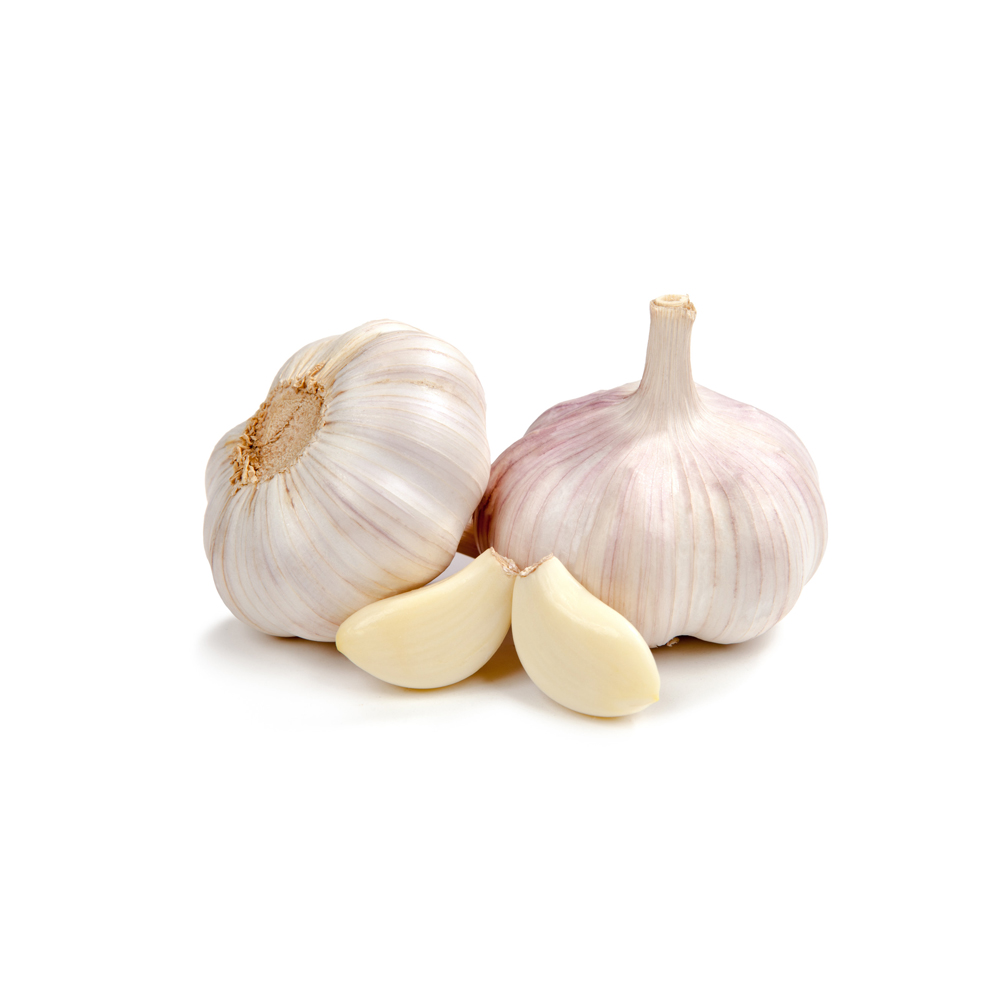 bawang-putih