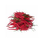 Curly Red Chilli