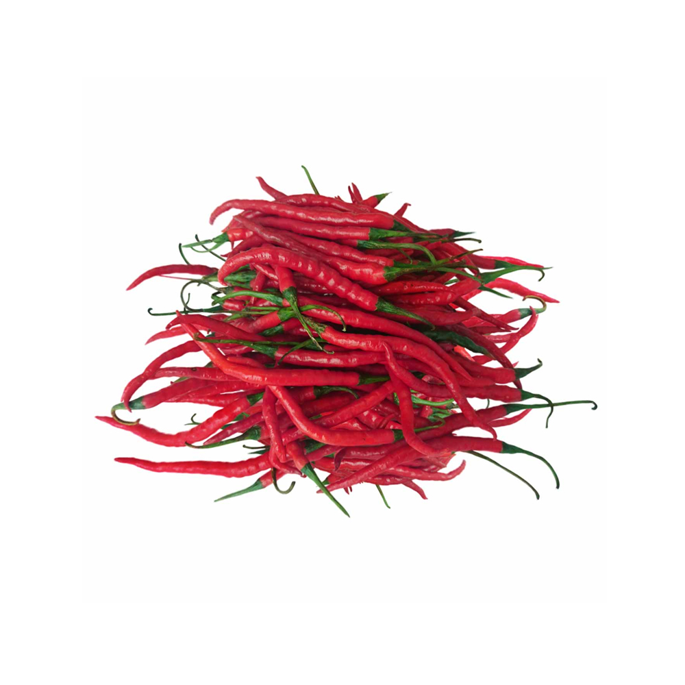 cabai-merah-keriting