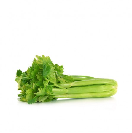 celery-stick-