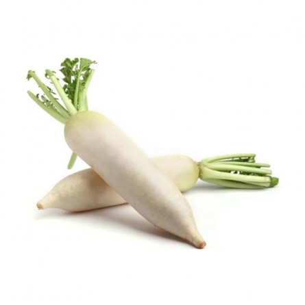 daikon-lobak-1pcs