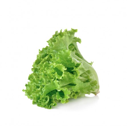 lettuce-green-