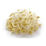 mung-been-sprout-100gr