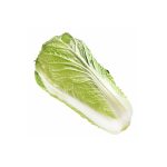 White Cabbage