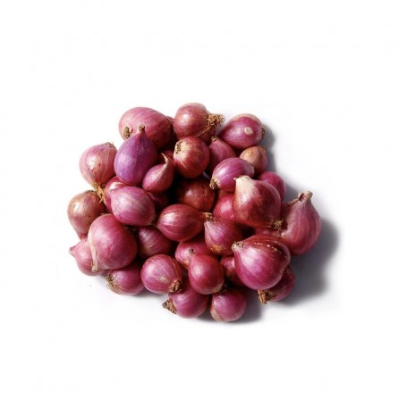 shallot-